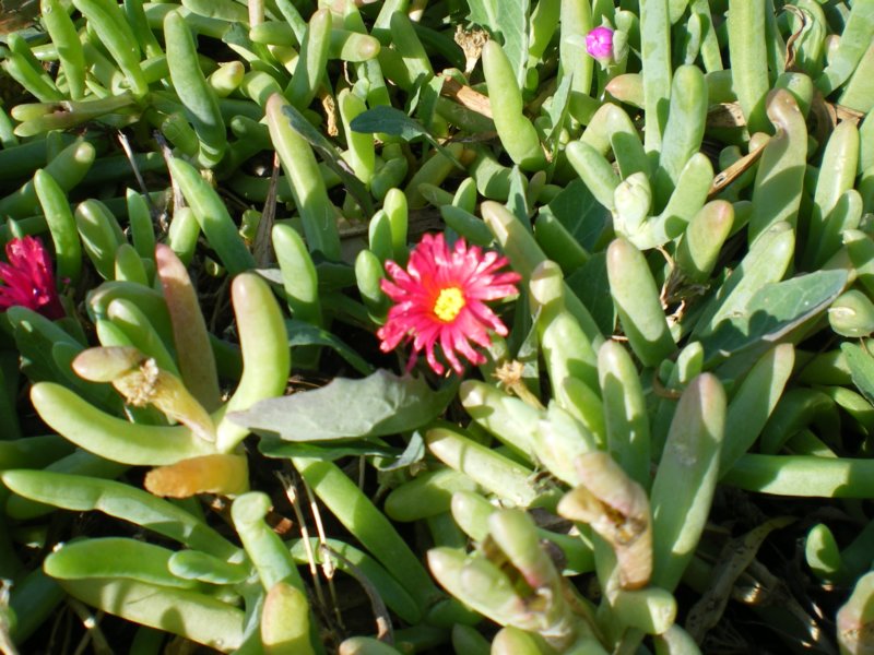 photo3.jpg