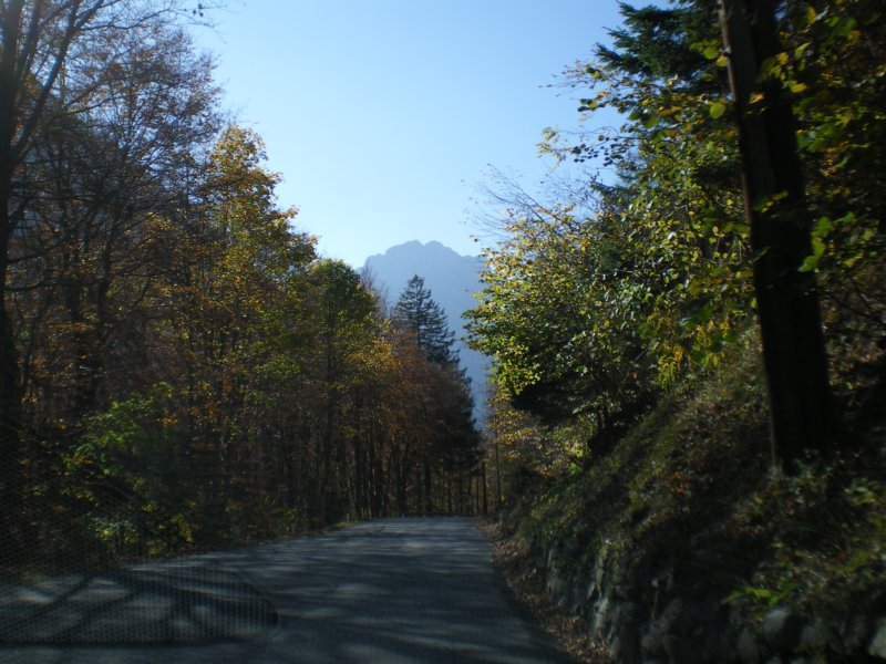 imgp1174.jpg