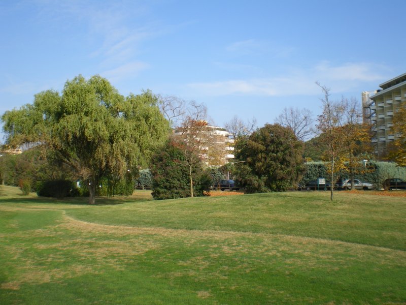 imgp1190.jpg