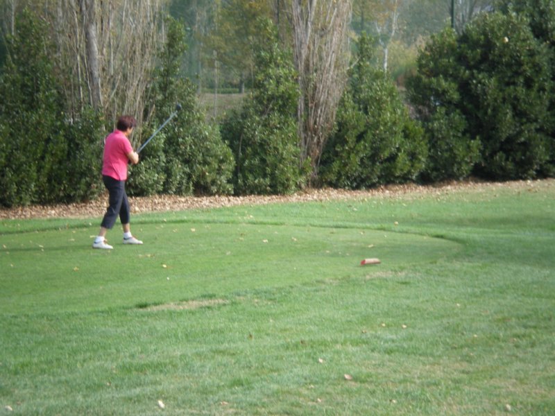 imgp1195.jpg