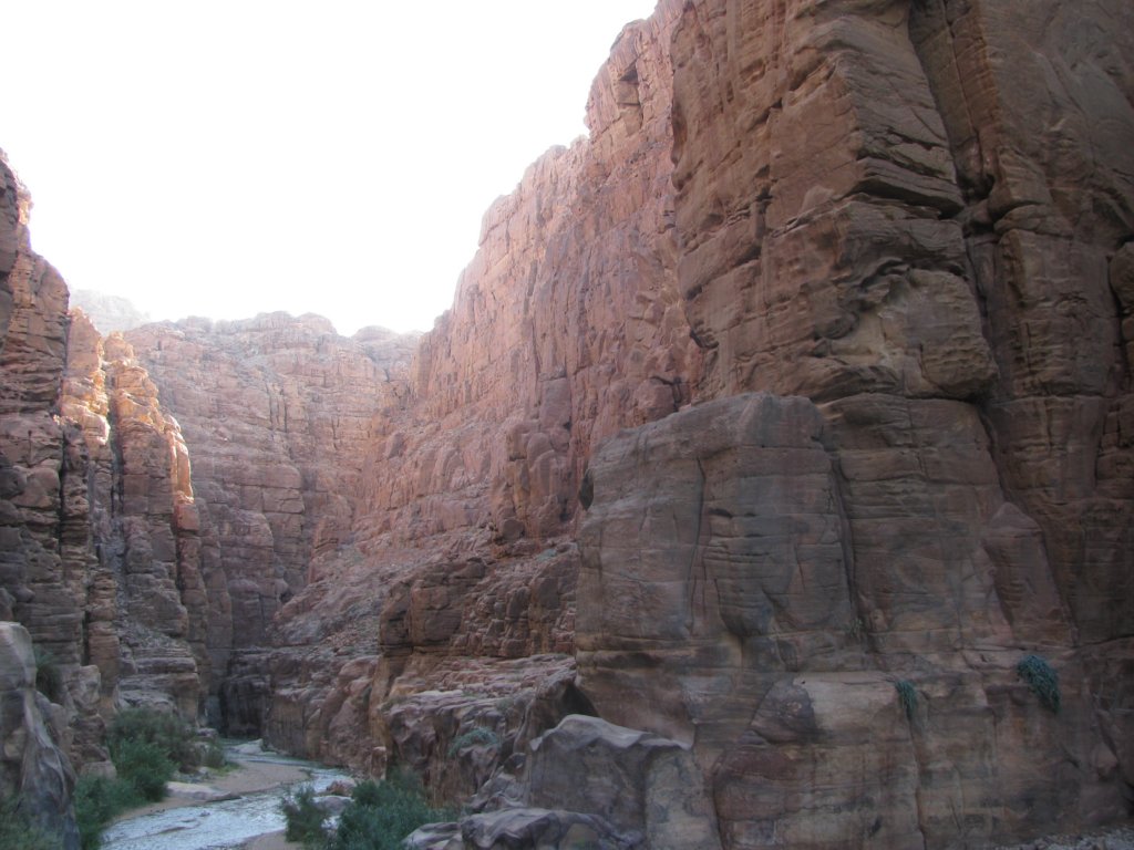 img_2616.jpg