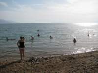 img_2638_small.jpg