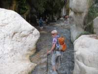 img_2678_small.jpg