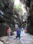 img_2684_small.jpg