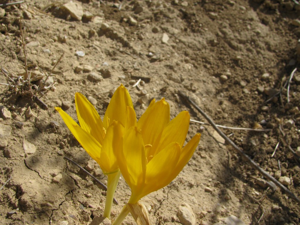 img_2702.jpg