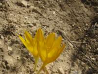 img_2702_small.jpg
