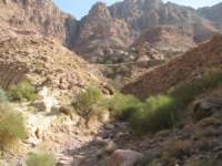img_2710_small.jpg