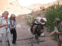 img_2713_small.jpg