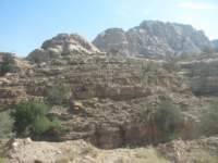 img_2745_small.jpg