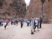img_2781_small.jpg