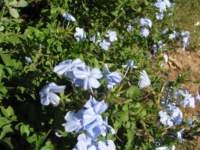 img_2853_small.jpg