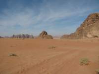 img_2863_small.jpg